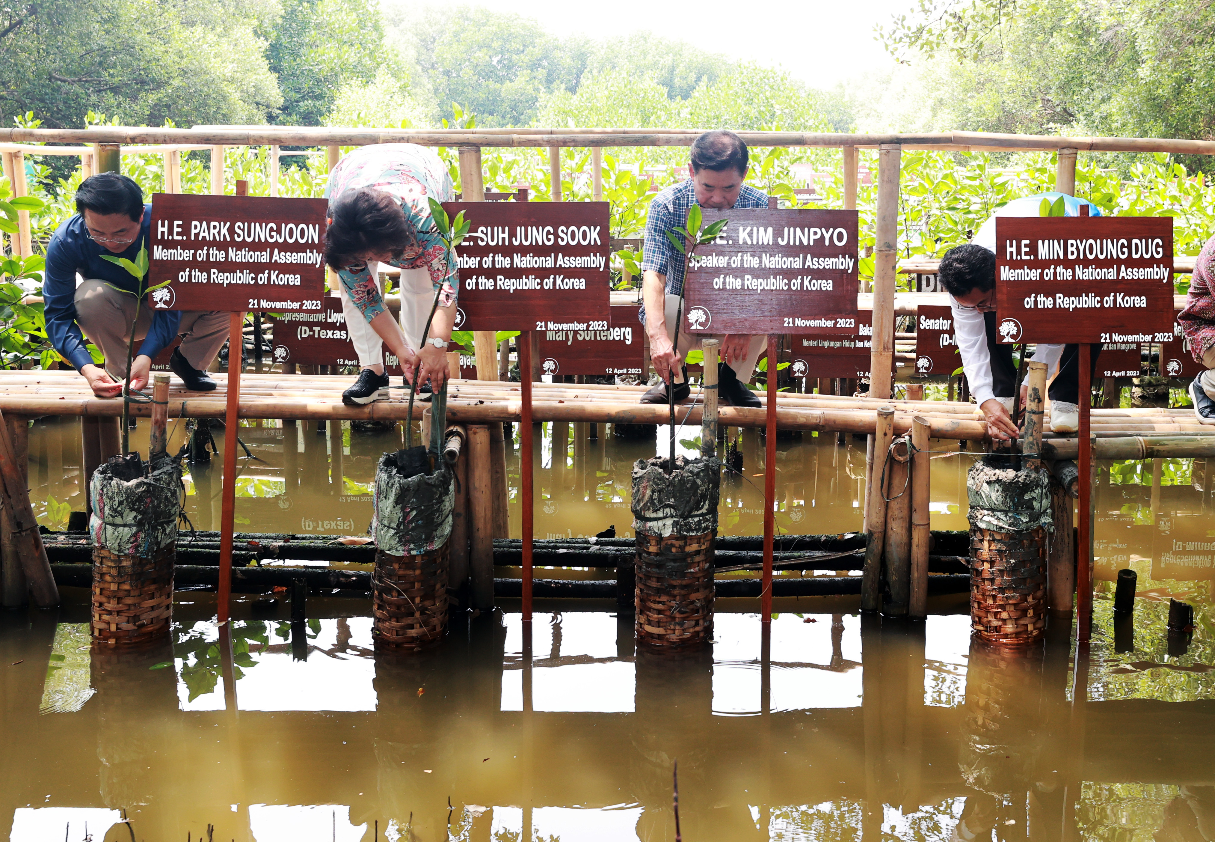 Speaker Kim Jin-pyo joins commemorative tree planting in Indonesian mangrove forest 관련사진 4 보기