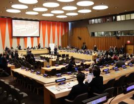 National Assembly attends the 2024 Parliamentary Hearing at the United Nations