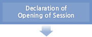 Declaration of Opening of Session